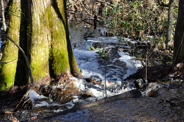 the water running off the hiking trail