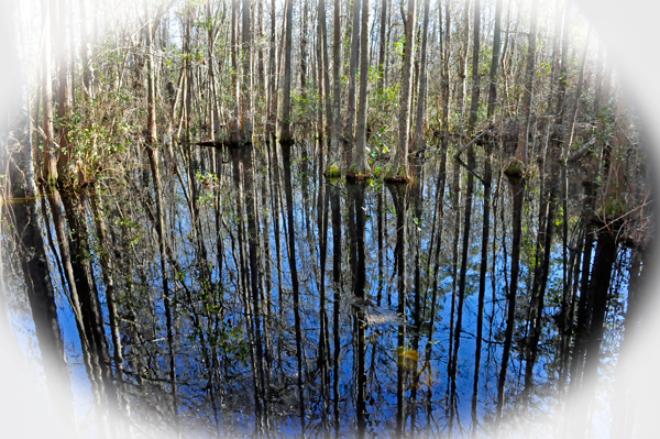 view of the dark waters and reflections