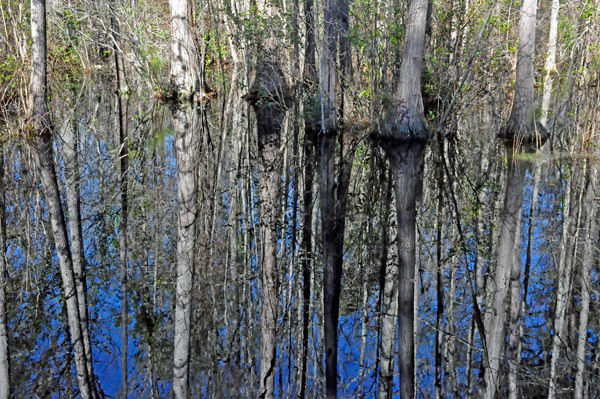 view of the dark waters and reflections