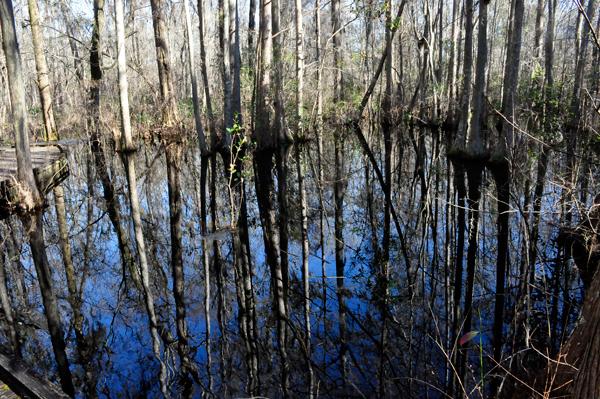 view of the dark waters and reflections