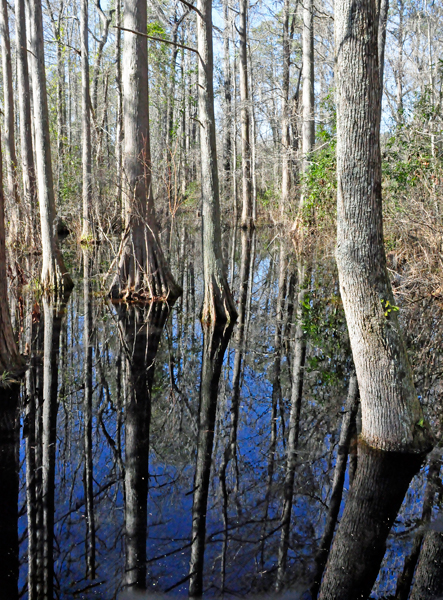 view of the dark waters and reflections