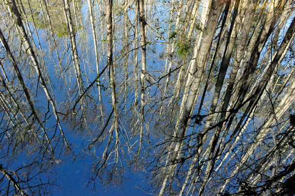 looking straight DOWN into the water. 