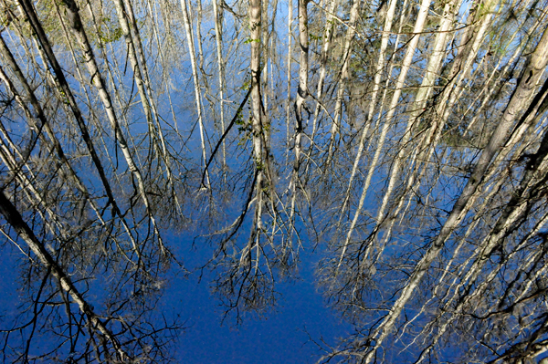 looking straight DOWN into the water.