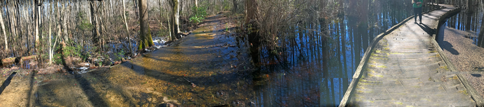 the flooded trail and the Boardwalk