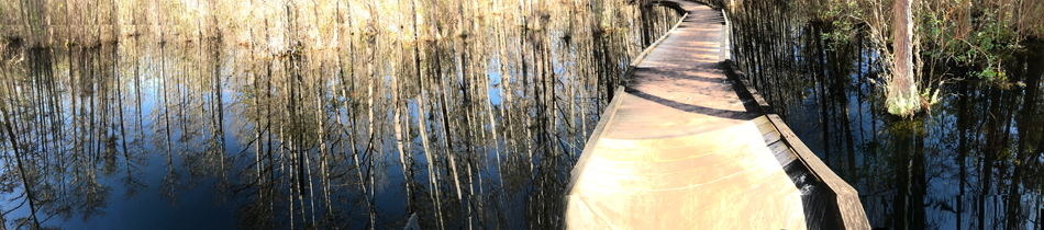 The Boardwalk