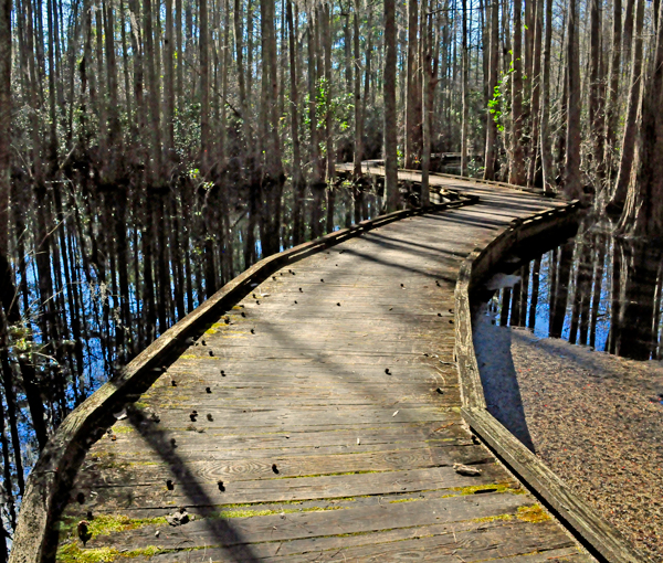 The Boardwalk