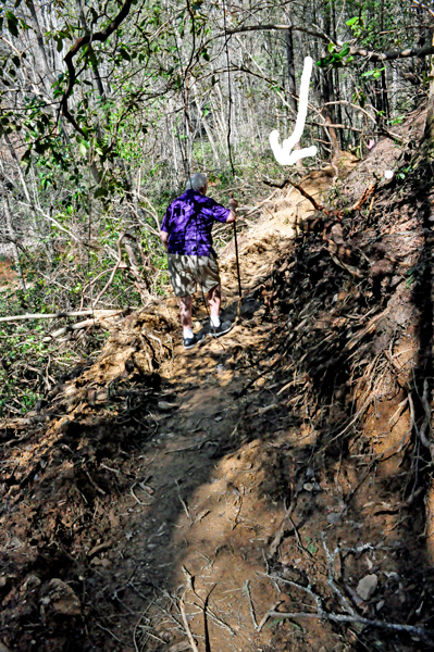 more stuff sticking out of the cliff