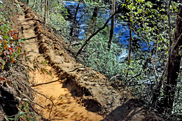 dirt trail