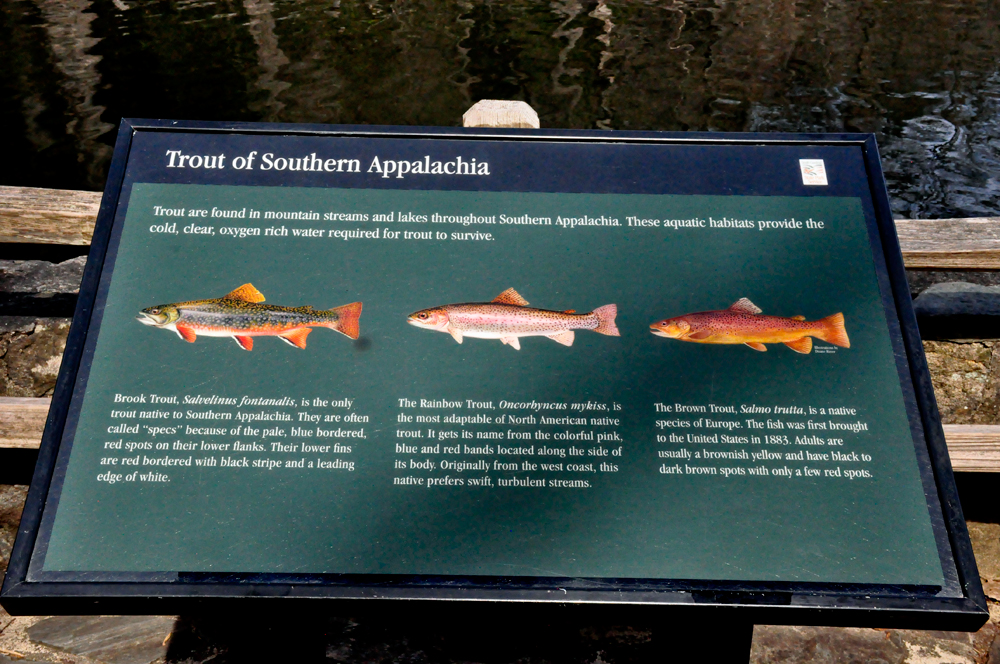 Trout of Southern Appalachia sign