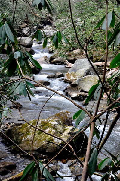 flowing water alongside the trail