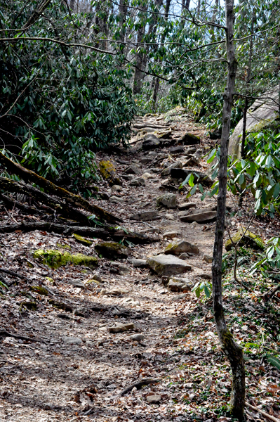 rocky trail