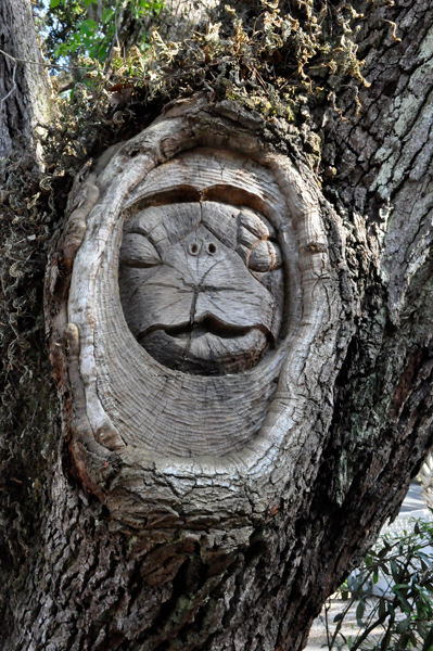 Tree Spirit #2