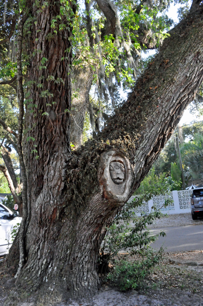 Tree Spirit #2