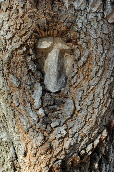 Tree Spirit #5