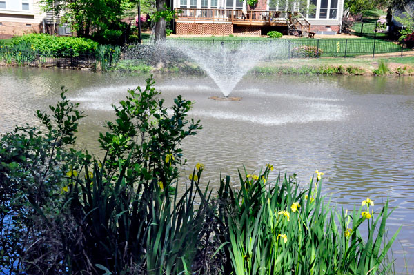 water fountain and flowers