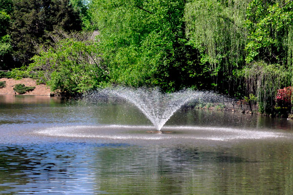 A look back at the water fountain