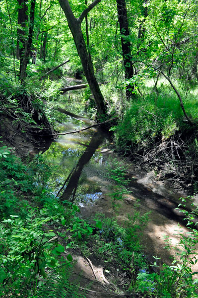 The creek at Big Rock Nature Preserve