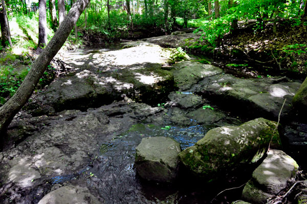 The creek at Big Rock Nature Preserve