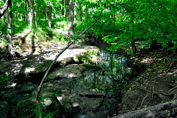 great reflections in the creek