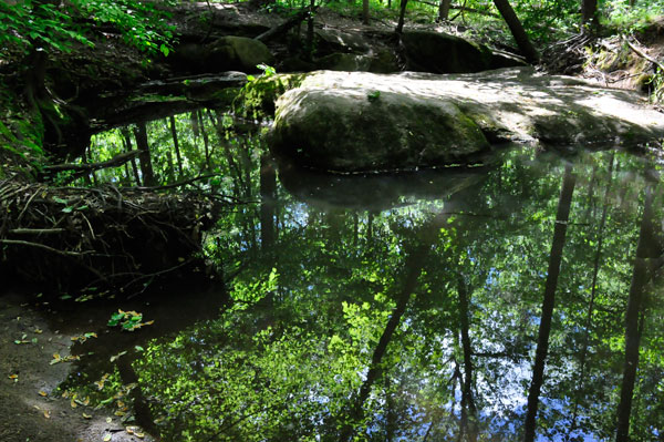 great reflections in the creek