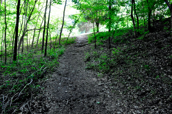 hill leading to the street