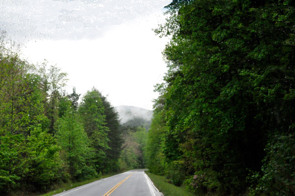 foggy road