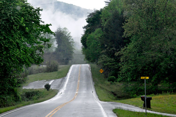 hills and fog