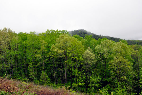 Popcorn Overlook view