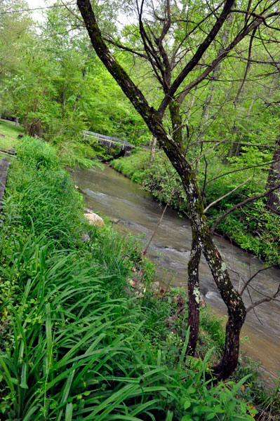 the creek behind the two RV Gypsies' RV