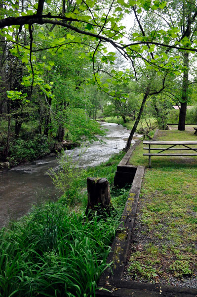 the creek behind the two RV Gypsies' RV