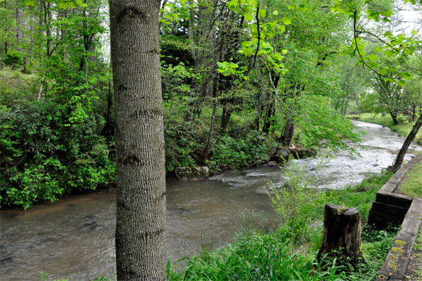 the creek behind the two RV Gypsies' RV