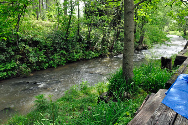 the creek behind the two RV Gypsies' RV