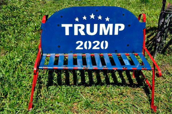 Trump 2020 chair