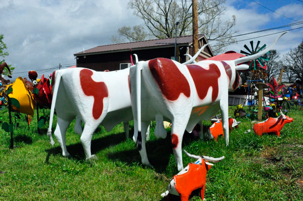 Longhorn butts