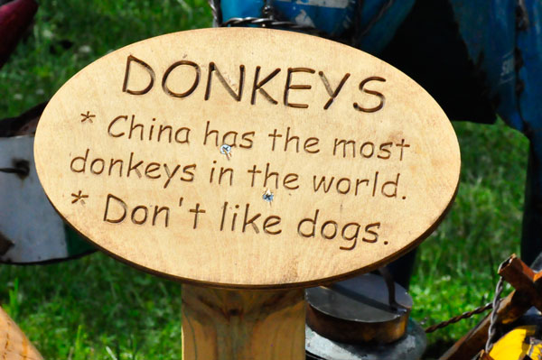 sign about Donkeys