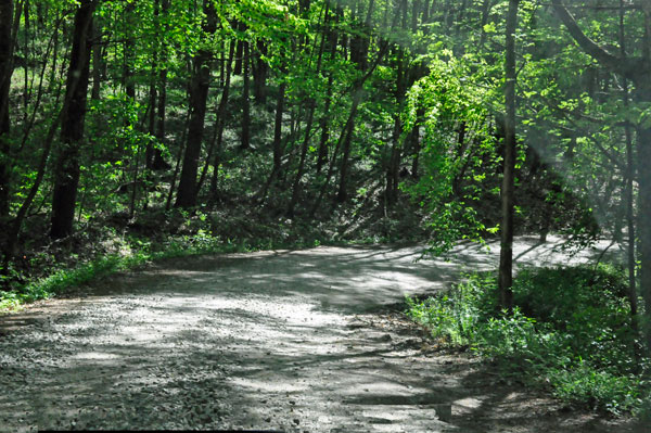 road to the Toccoa River Swinging Bridge