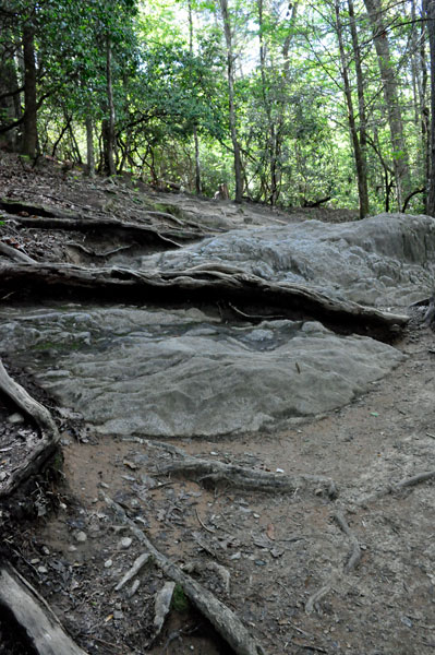 big rock to climb over