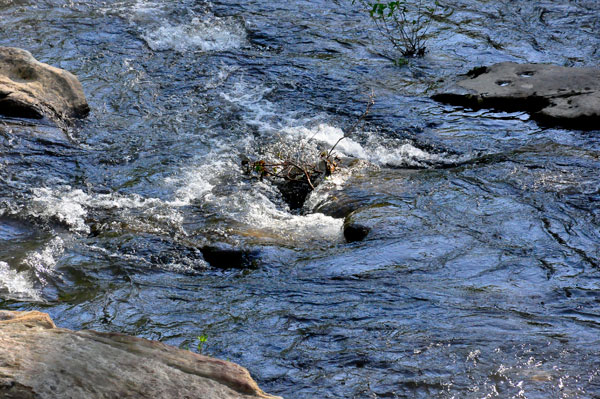 Toccoa River