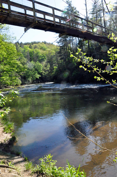 The Toccoa River Swinging Bridge