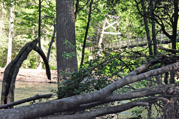 The Swimging Bridge