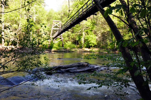 The Swimging Bridge