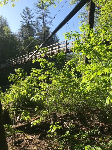 The Toccoa River Swinging Bridge