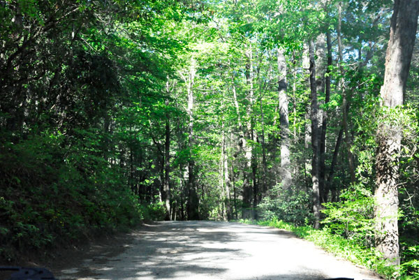 road to Helton Creek