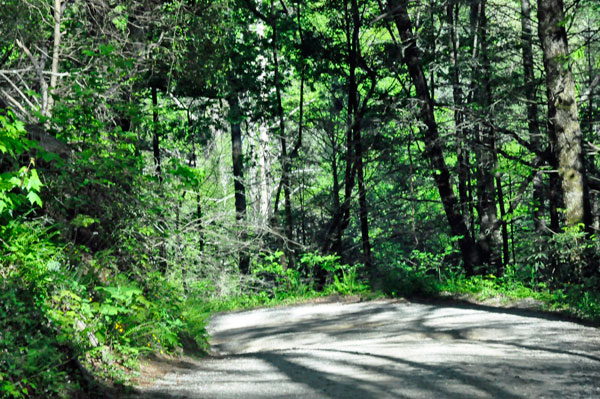 road to Helton Creek
