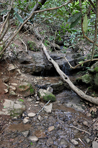 shallow water and mud