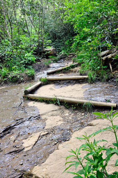 the hiking trail