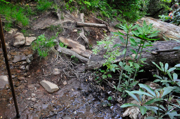 wet trail