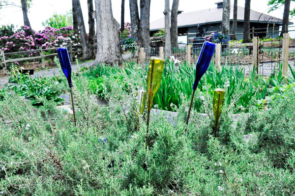 painted bottle garden