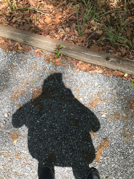weird shadow