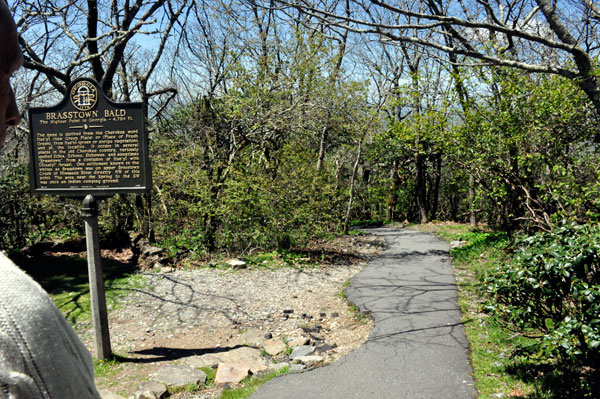 beginning of trail down Brasstown Bald